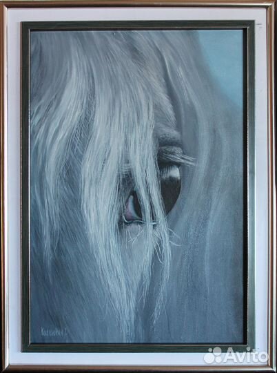 Глаз коня.Масло, холст 37*54 Киселевич Г