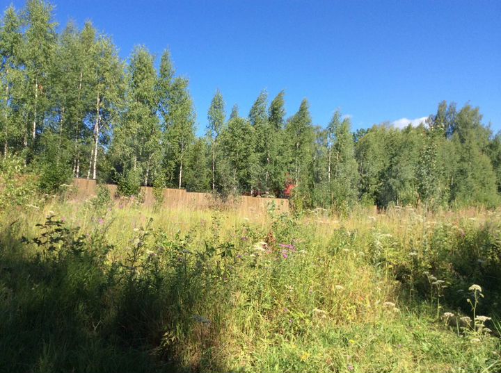 Участок 19,5 сот. (ИЖС)