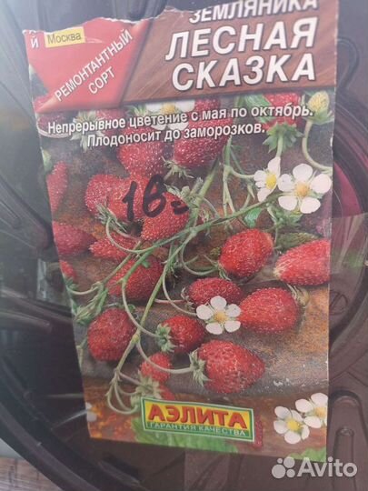 Земляника ремонтантная