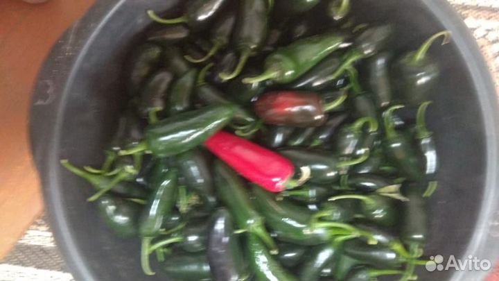 Перец острый Халапеньо