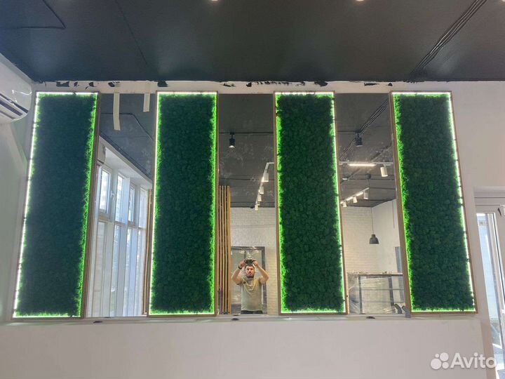 Панно из стабилизированного мха с подсветкой