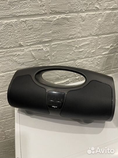 Клонка zealot-p1