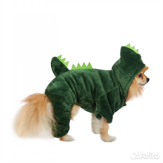 Собачья оджеда