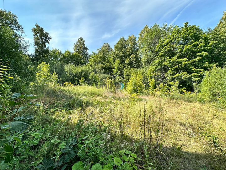 Участок 6,5 сот. (СНТ, ДНП)