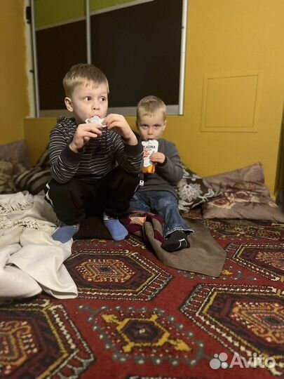 Пюре с органическим йодом умный ребенок