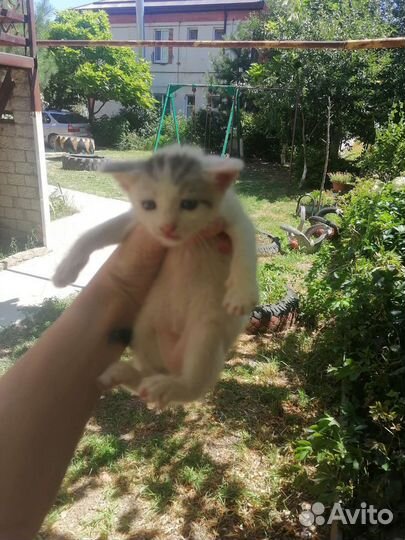 Мы хотим жить