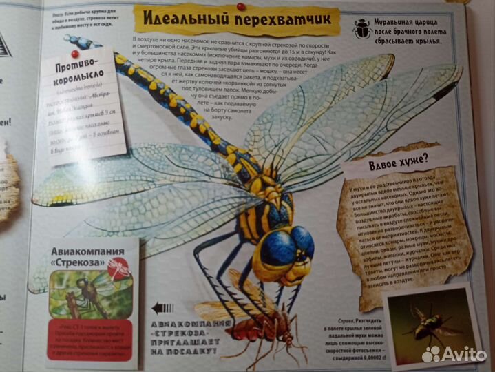 Насекомые книга