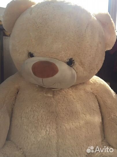 Плюшевый медведь