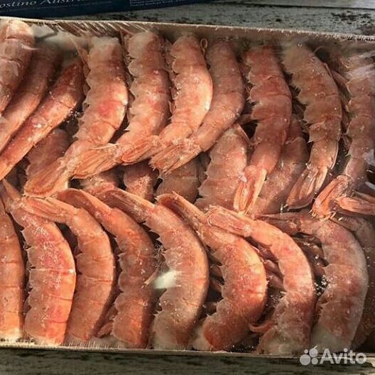 Лангустины, аргентинская креветка