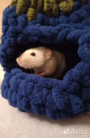 Лежак для кота/ домик для крысы