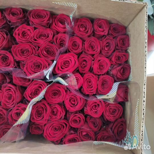 Розы разные сорта