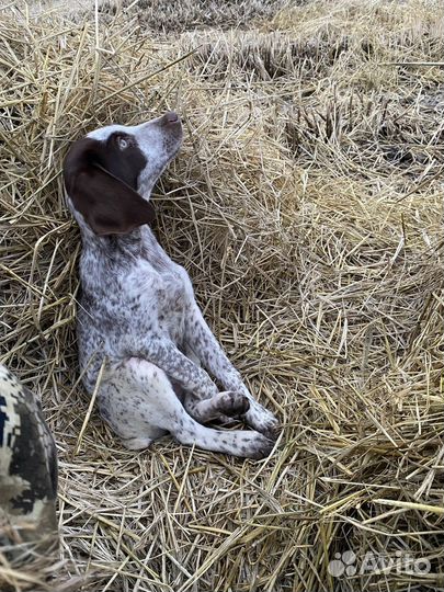 Охота и рыбалка отдых