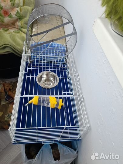 Клетка для грызунов большая