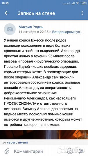 Ветеринар с выездом на дом