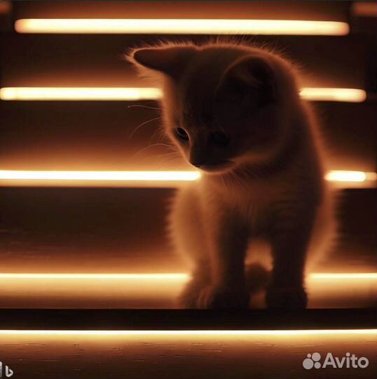 Автоматическая подсветка лестницы