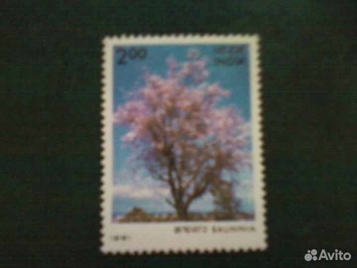 Деревья (1981, Индия)