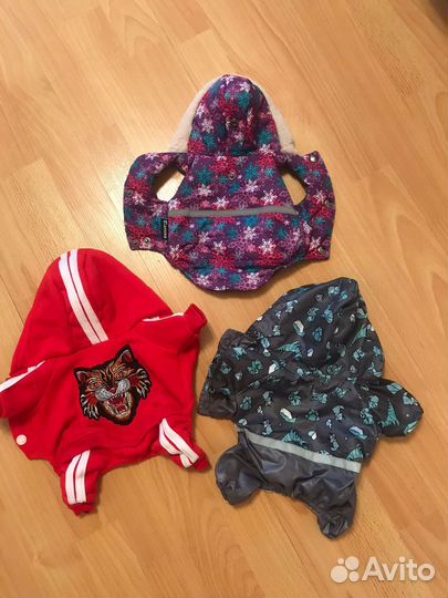 Вещи для маленьких собак