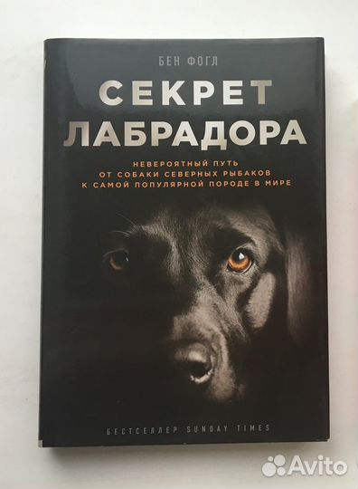 Бен Фогл: Секрет лабрадора