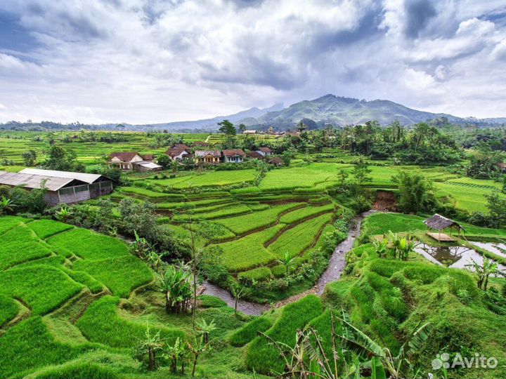 Загранпоездка в Индонезию от 7 нч