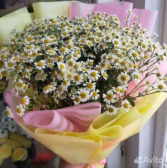 Доставка цветов. Ромашки