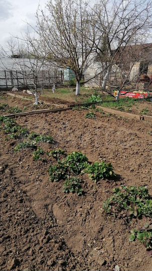 Участок 6 сот. (СНТ, ДНП)