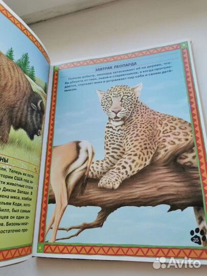 Большие и маленькие интересные факты о животных