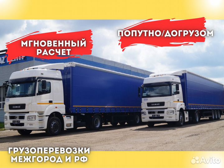 Грузовые коммерческие фургоны. Перевозки грузов москва самара rosstransco. Контейнерный автовывоз. Грузовики снг. Транспортные компании краснодар.