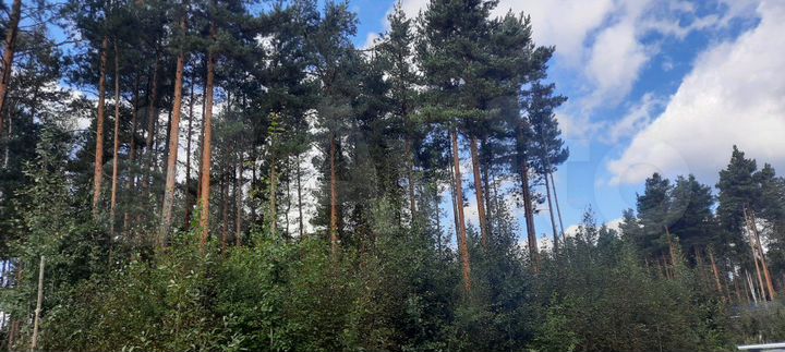 Участок 21 сот. (СНТ, ДНП)