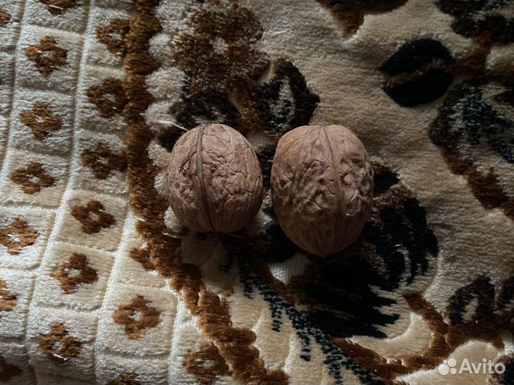 Орех грецкий