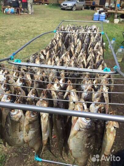 Рыбалка в дельте Волги