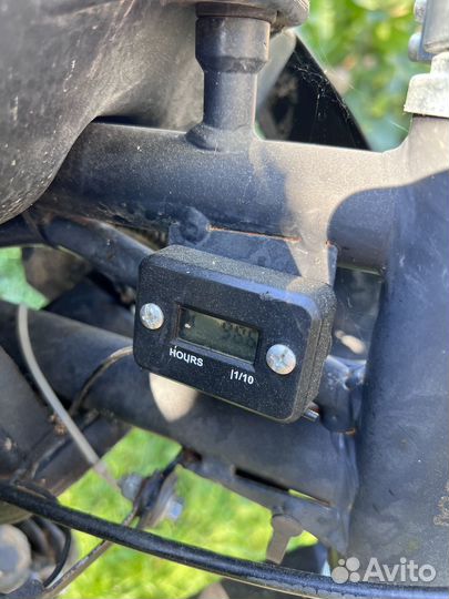 BSE EX125
