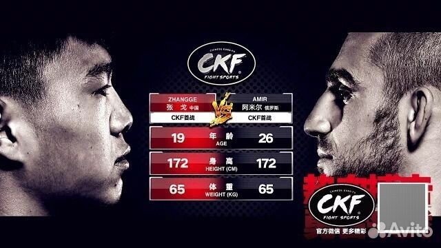 Тренер по мма