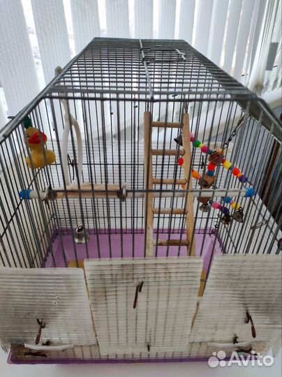 Клетка для волнистого попугая большая