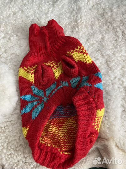 Одежда для собак