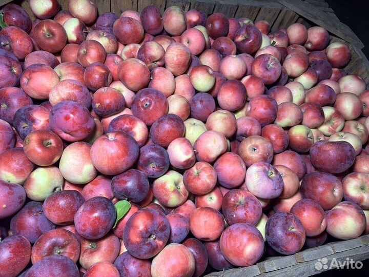 Яблоки натуральные