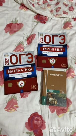 Учебники ОГЭ и учебник по литературе