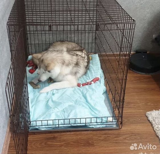 Клетка для собак 5