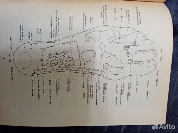 Книга о массаже для широкого круга читателей