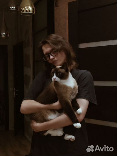 Передержка животных