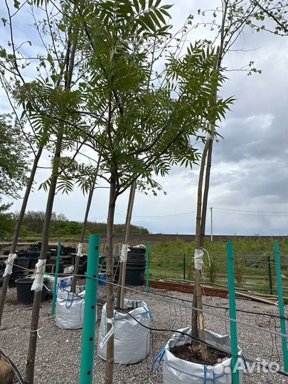 Крупномеры в ассортименте