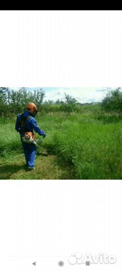 Покос травы