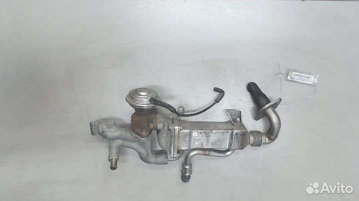 Охладитель отработанных газов Audi A8 (D3), 2004