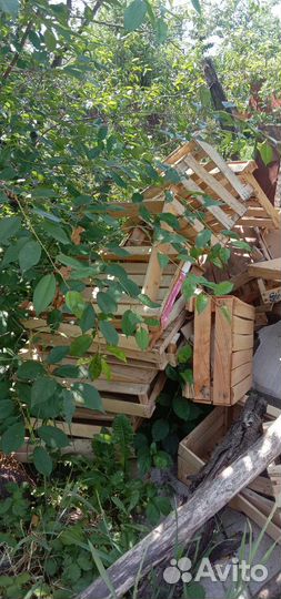 Ящики пластиковые и деревянные