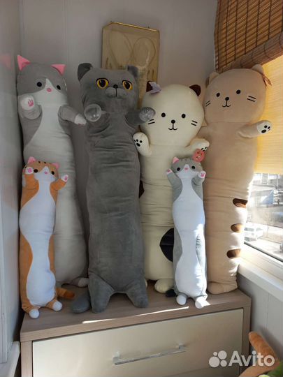 Коты батоны много разные