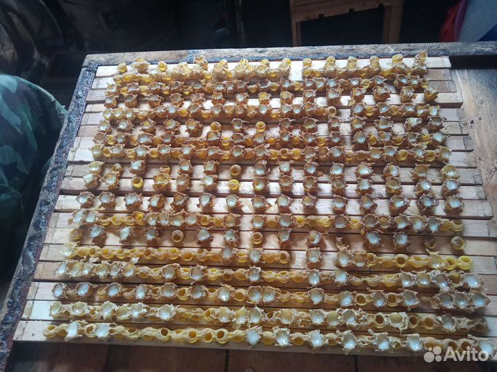 Маточное молочко