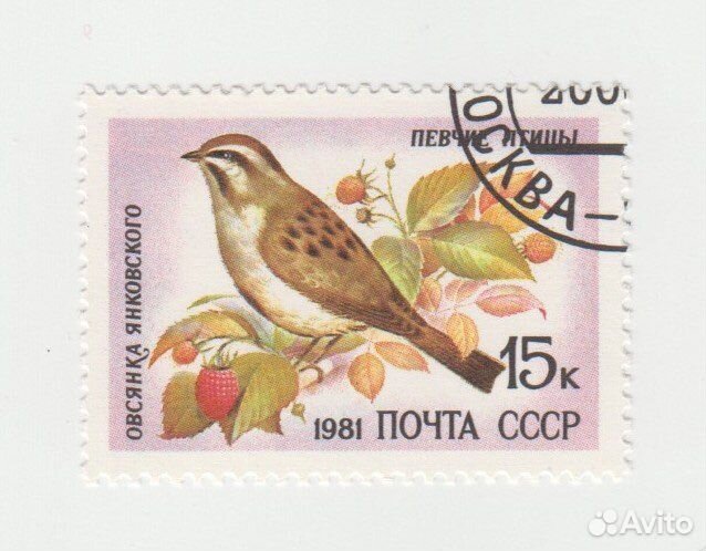 Почтовые марки Фауна Птицы СССР