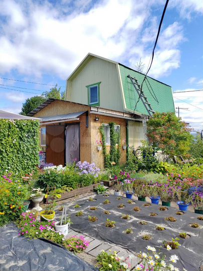 Дача 56 м² на участке 4,9 сот.