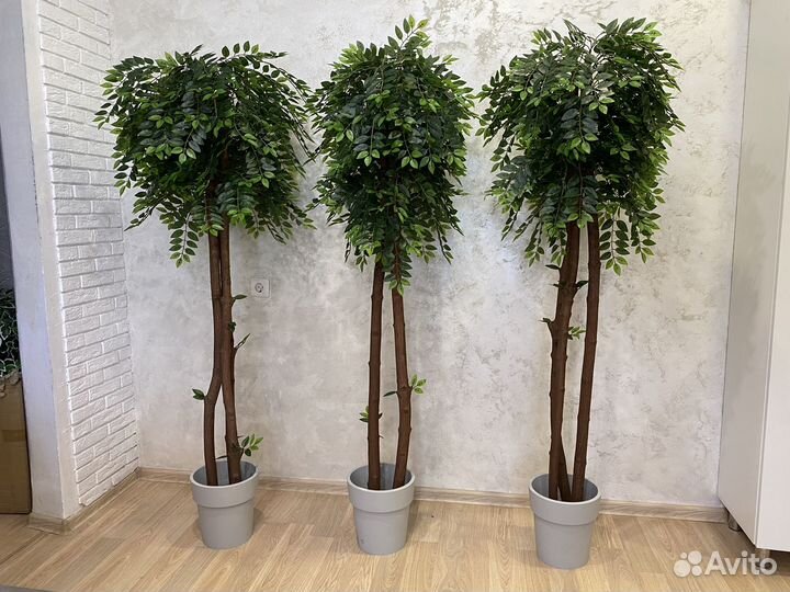 Искусственное дерево манго