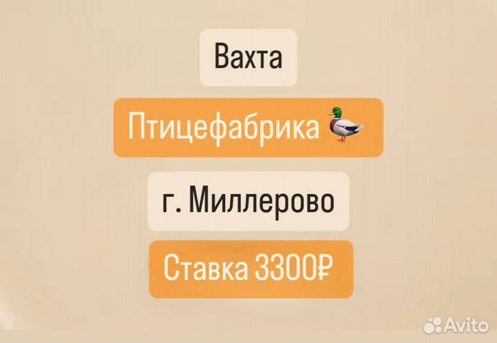 Разнорабочий. Вахта с питанием. Высокая ставка