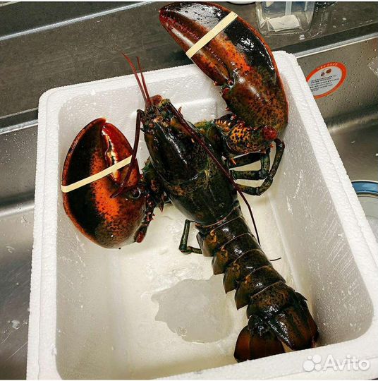 Продажа бизнеса / аренда / партнерство